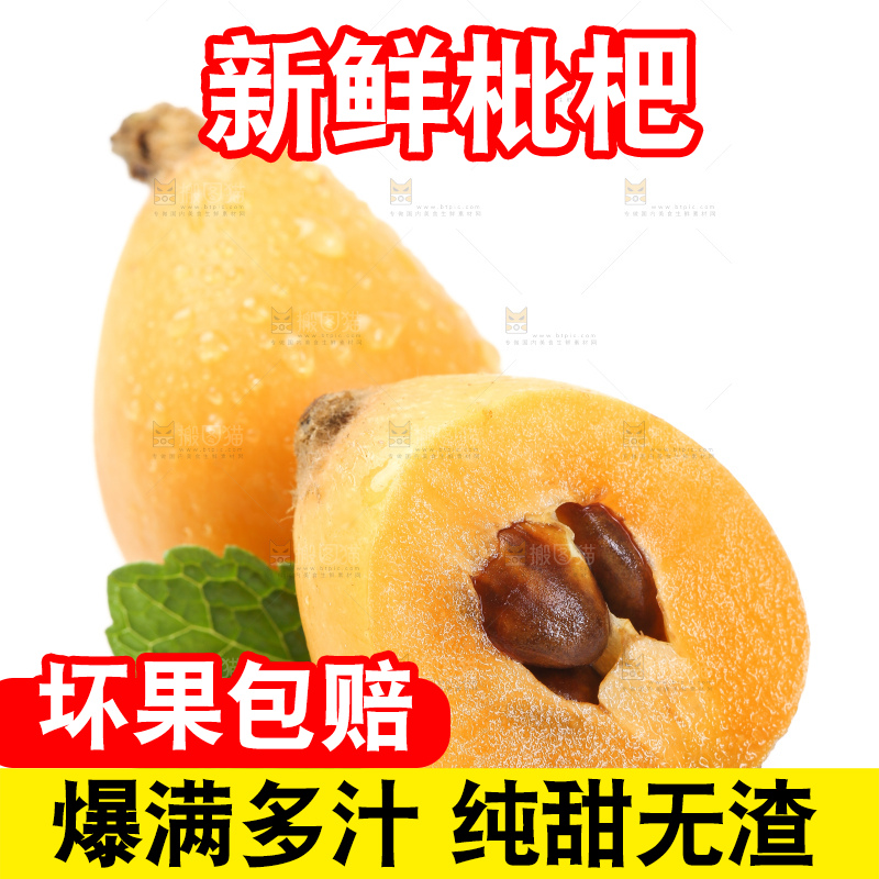 白底上的枇杷