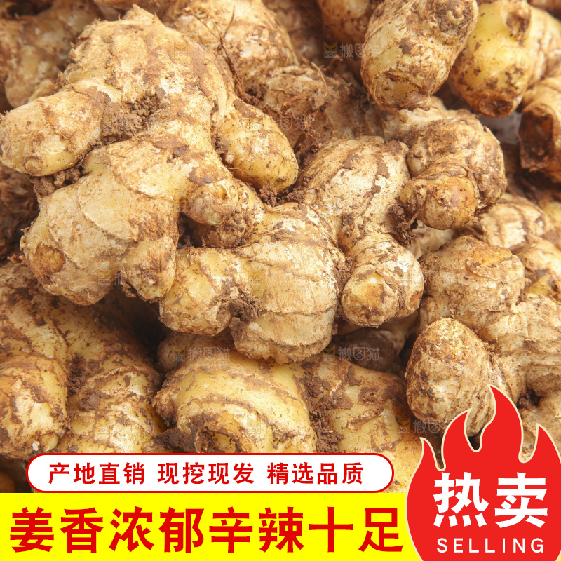 白底上摆放着云南小黄姜
