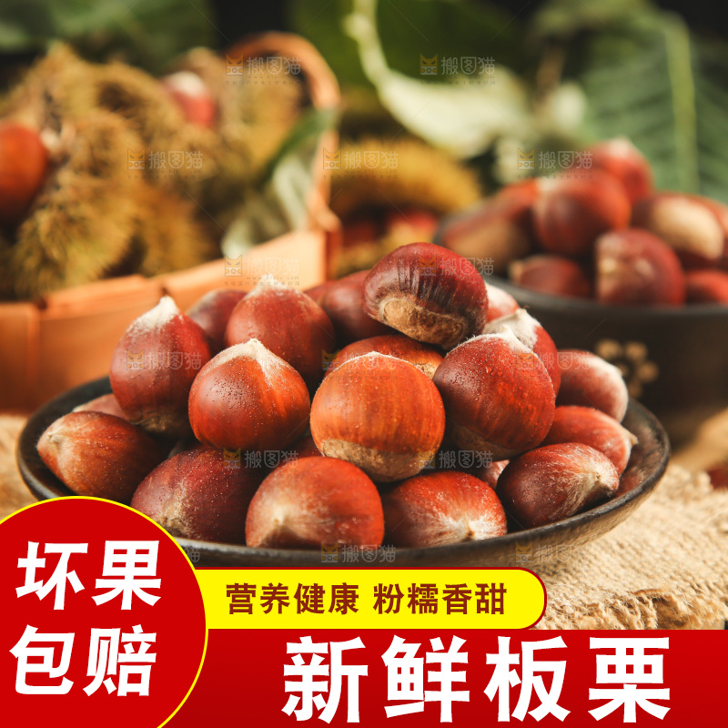 木底上放着迁西板栗