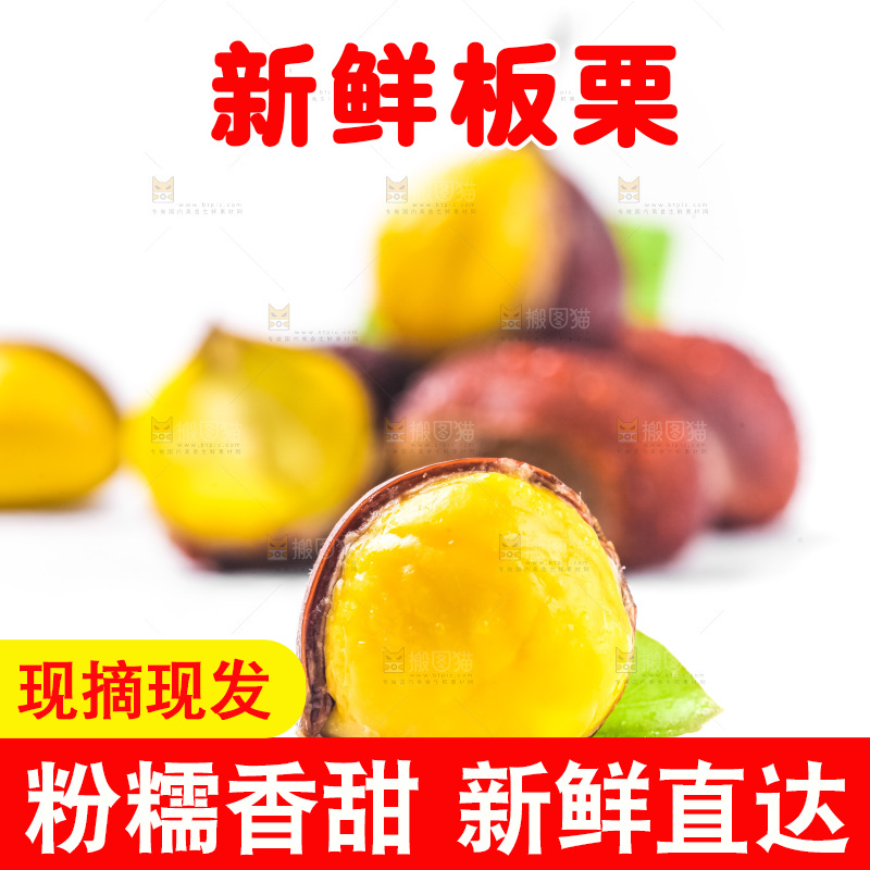 白底上的板栗