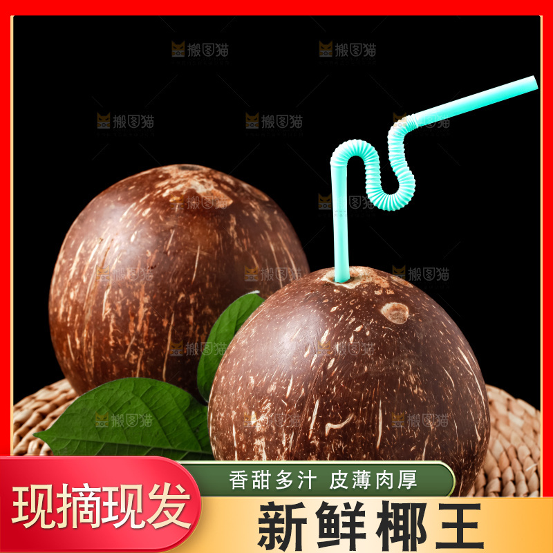 黑底上放着海南椰皇