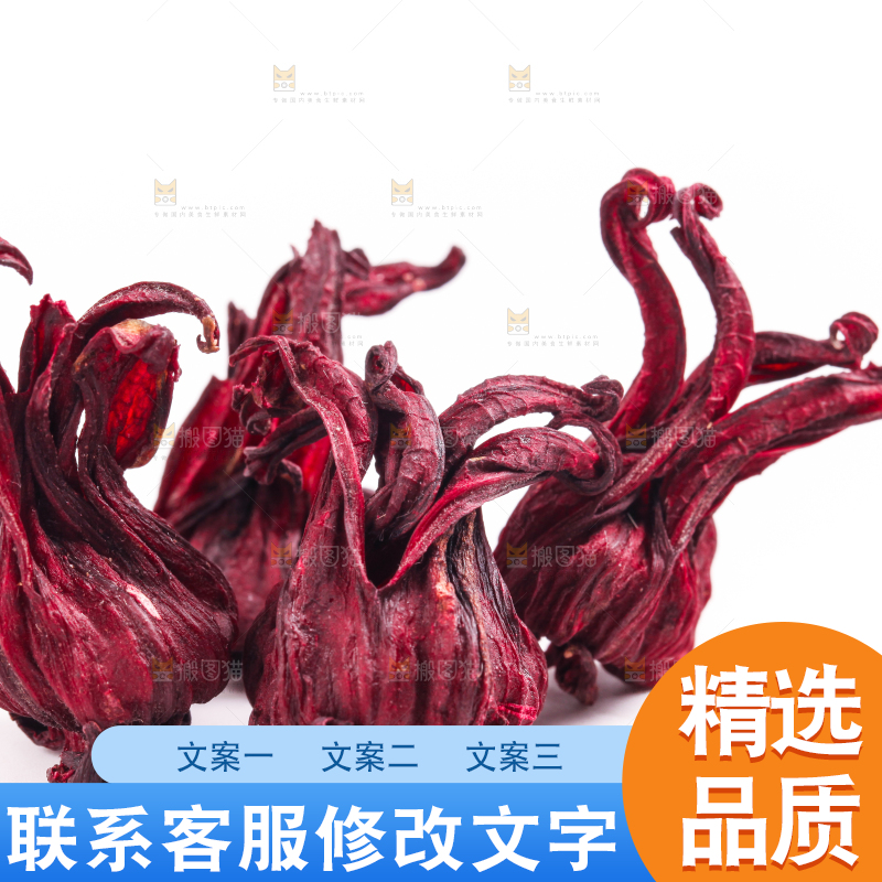 白底上的玫瑰茄