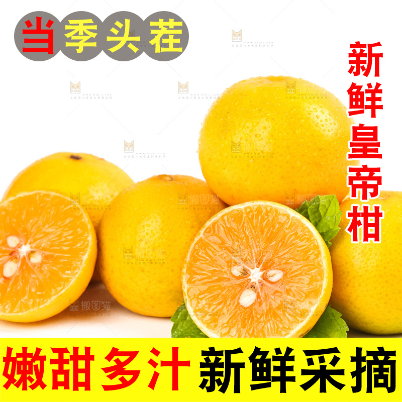 白底上放着一堆新鲜皇帝柑