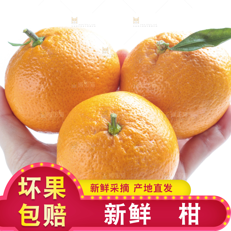手里拿着新鲜椪柑