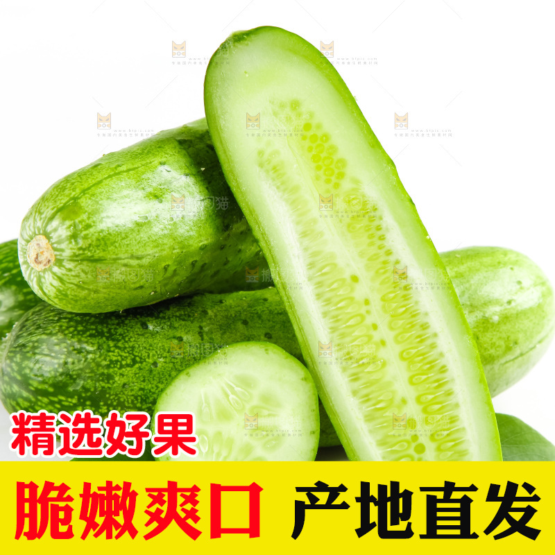 白底上的旱黄瓜
