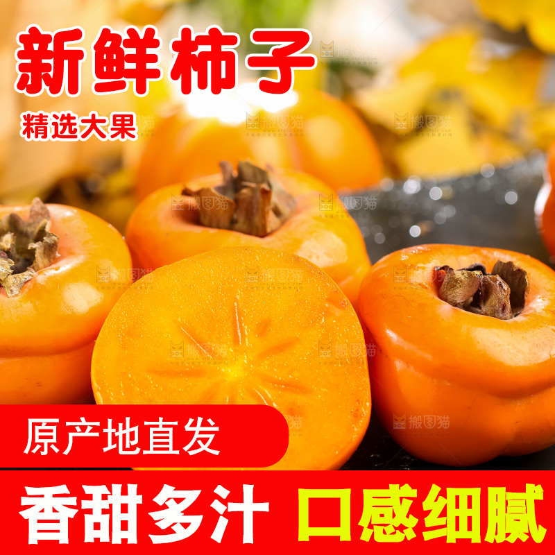 黑石板上放着易县磨盘柿