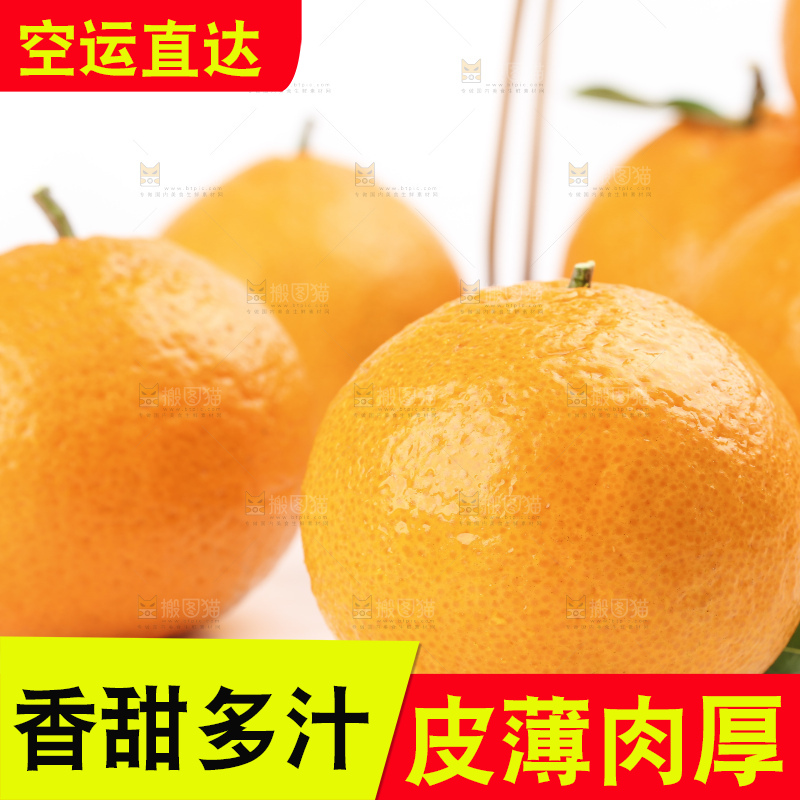 白底上的椪柑橘