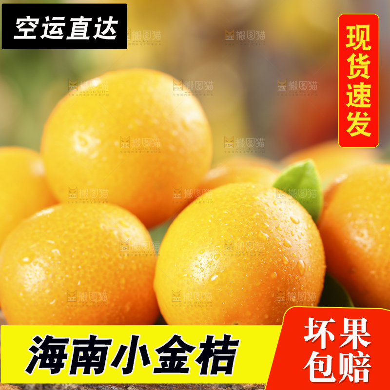 木底上放着新鲜金钱桔