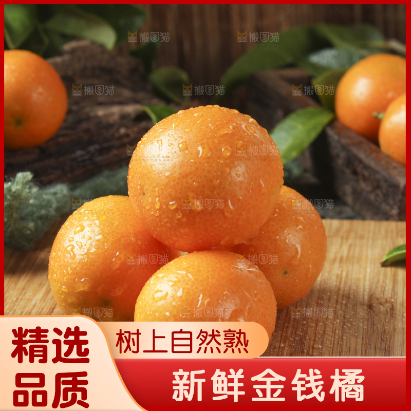 木板上摆放着广西金钱橘