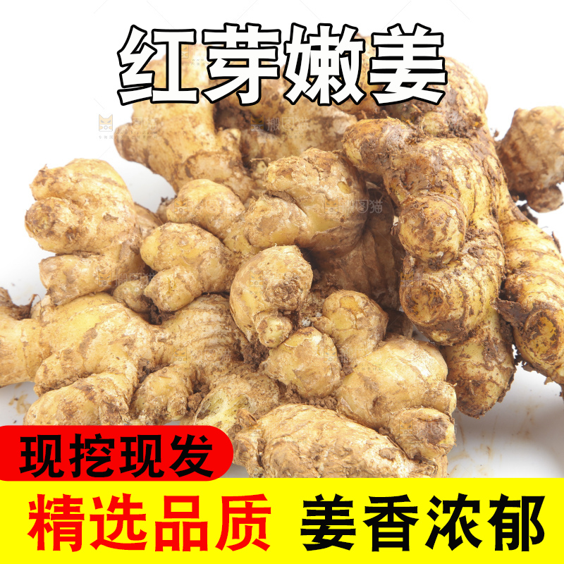 白底上摆放着云南小黄姜