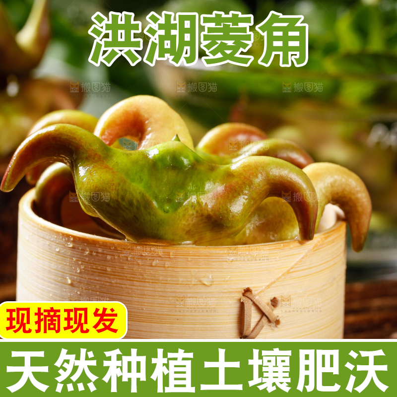 竹底上的菱角
