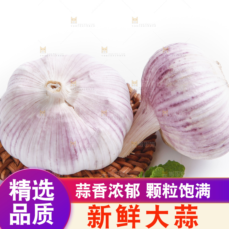 白底上的山东大蒜头