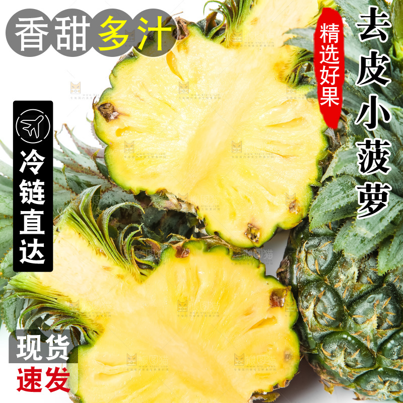 白底上的新鲜小菠萝