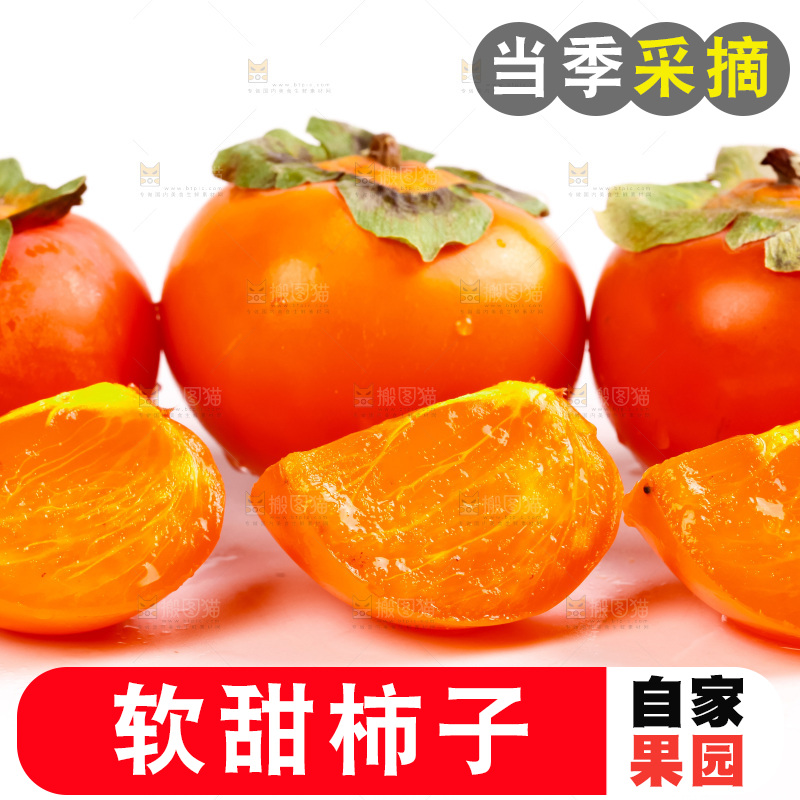 白底上的软柿子