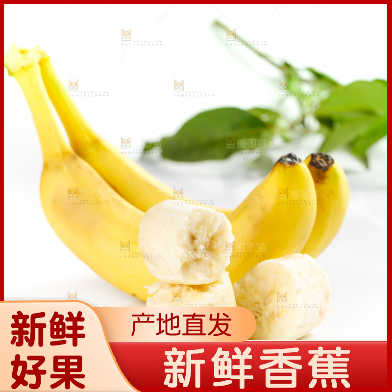 白底上摆放着高山甜香蕉