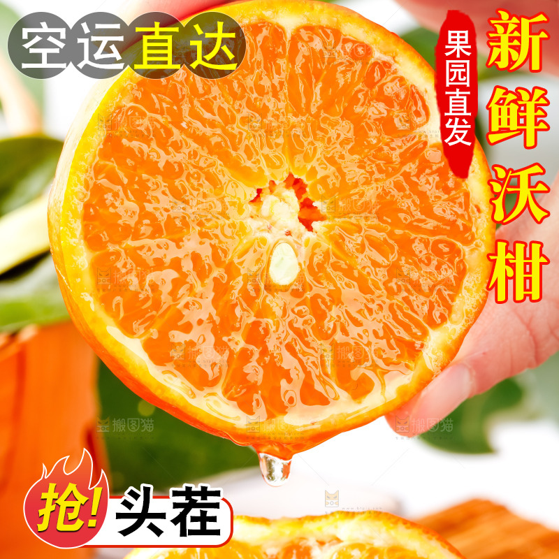 手里拿着新鲜沃柑