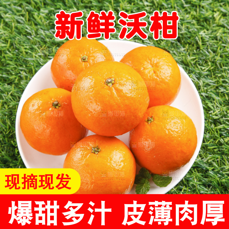 草地上放着贵妃柑