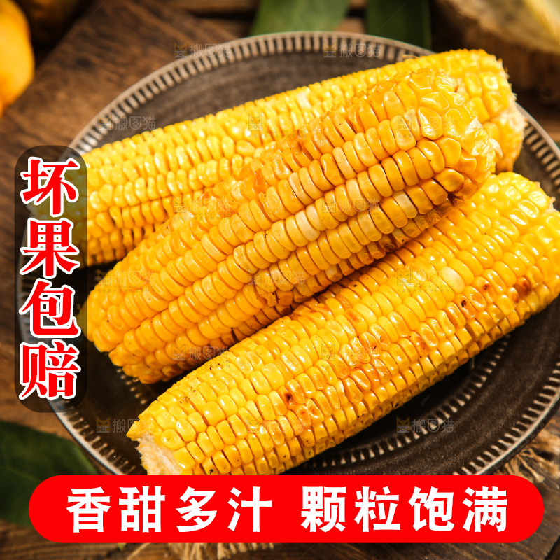 盘子里装烤玉米