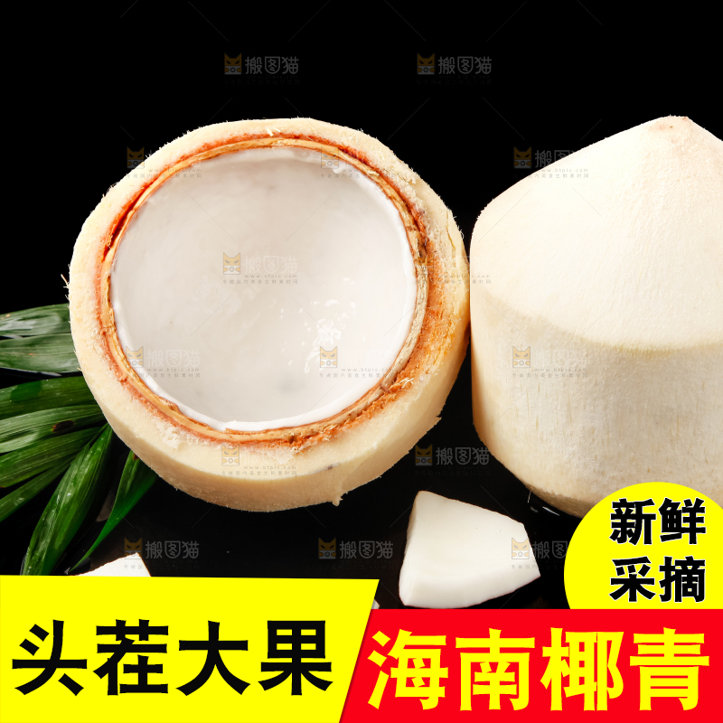 黑底上的青椰子