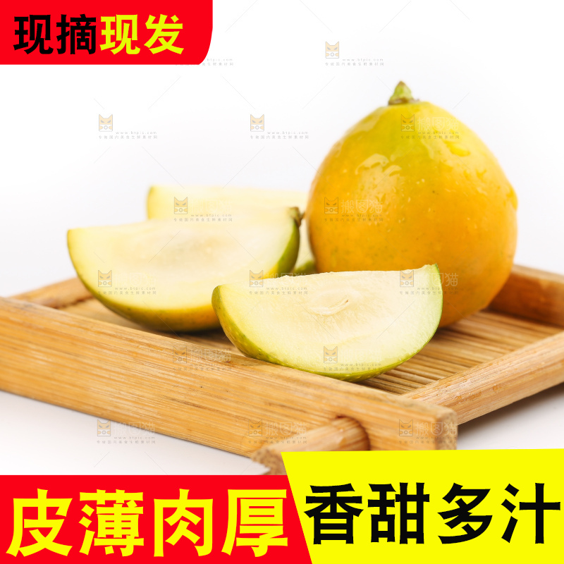 白底上的金桔