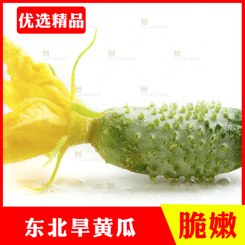 白底上的小黄瓜