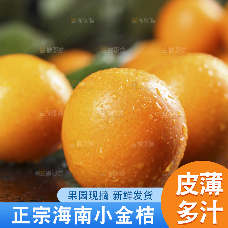 黑石板上的广西金钱橘
