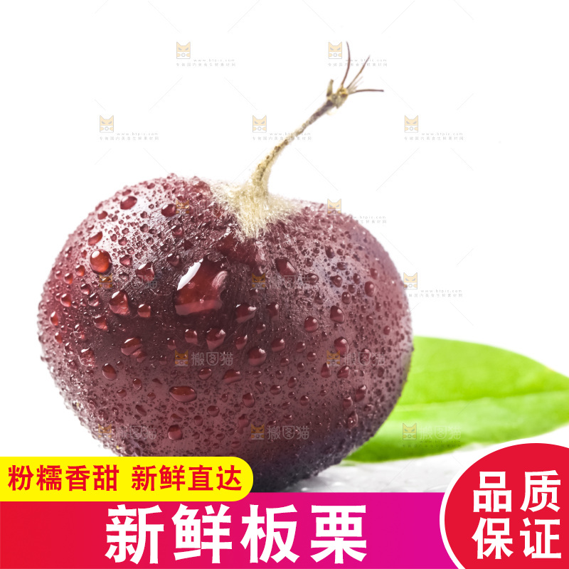 白底上放着迁西板栗