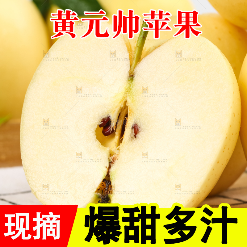 白格子底上的黄金帅