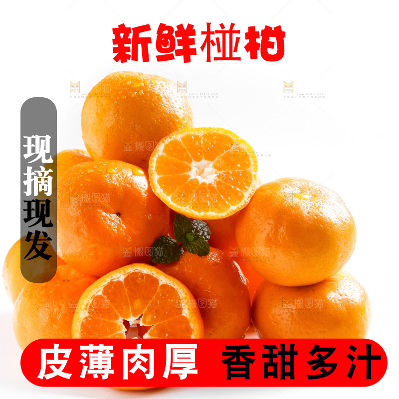 白底上摆放着椪柑橘