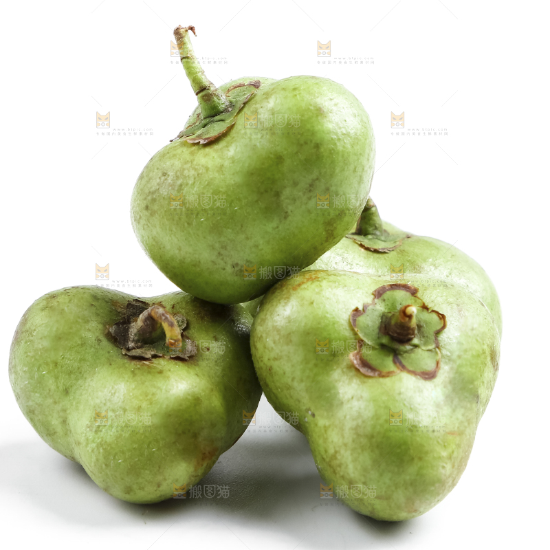 白底上的茶叶果