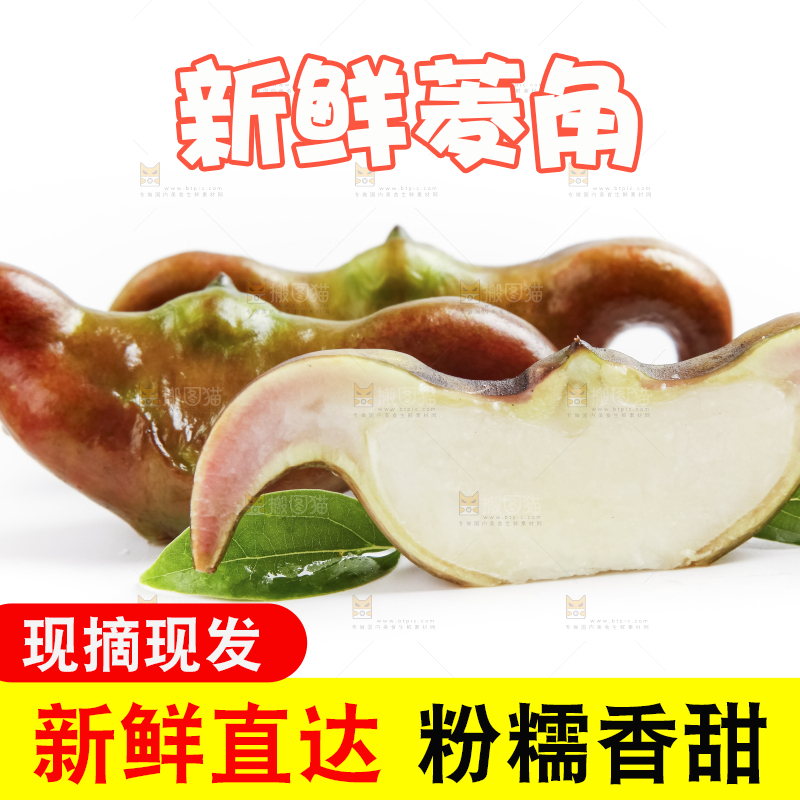 白底上的新鲜菱角