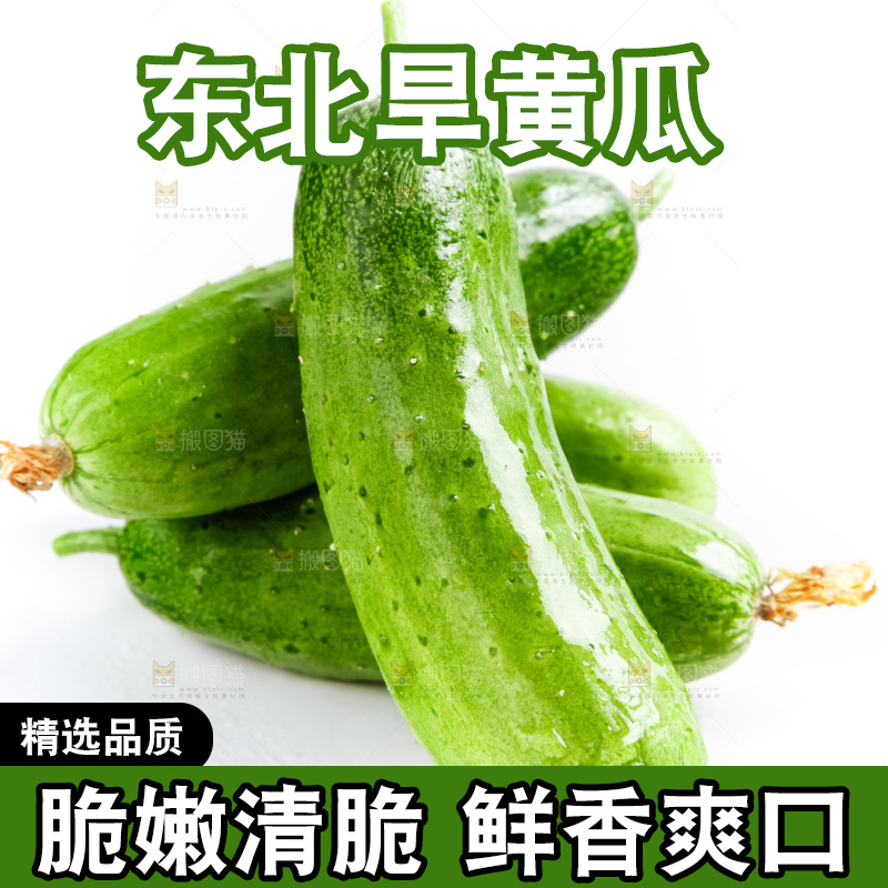 白底上的小黄瓜