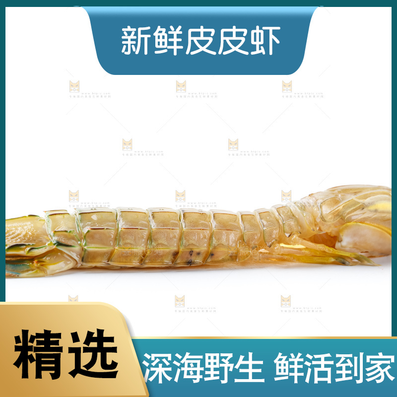白底上的濑尿虾