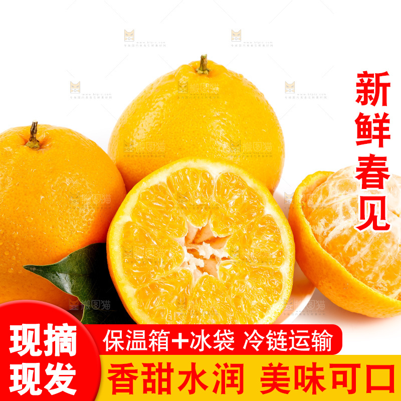白底上放着耙耙柑