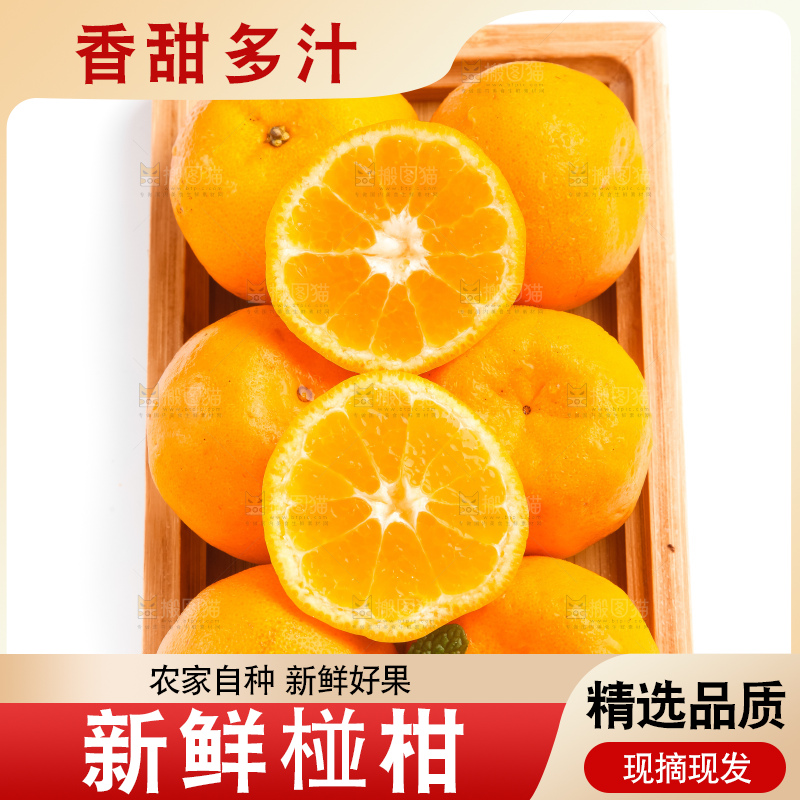 盘子里放着椪柑橘