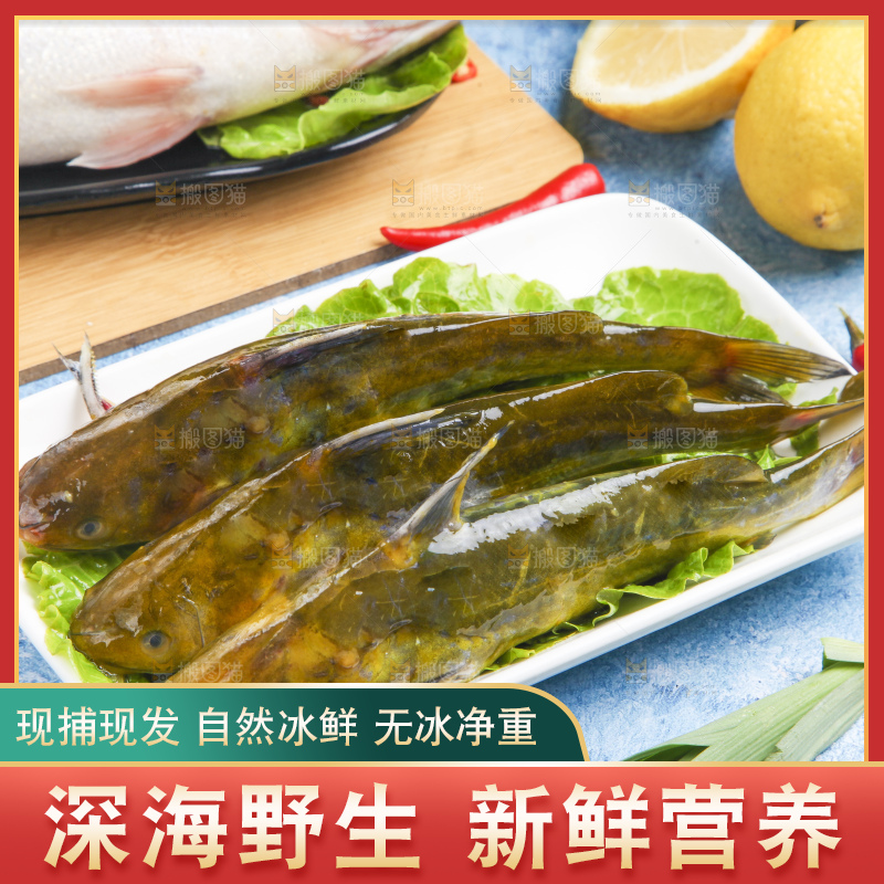 盘子里的黄蜂鱼