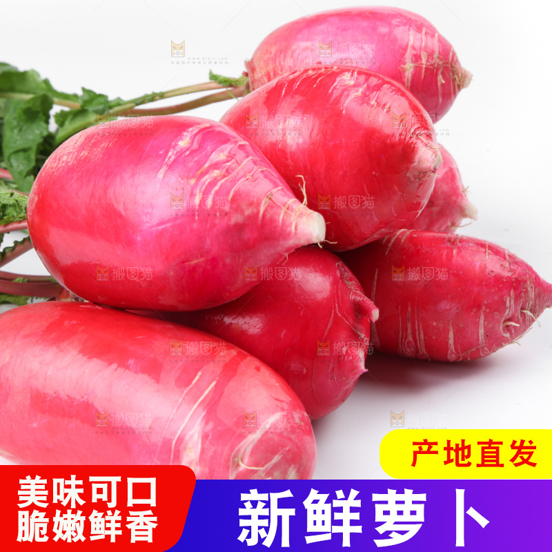 白底上的红萝卜