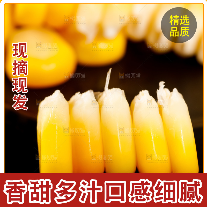 深底上的东北玉米