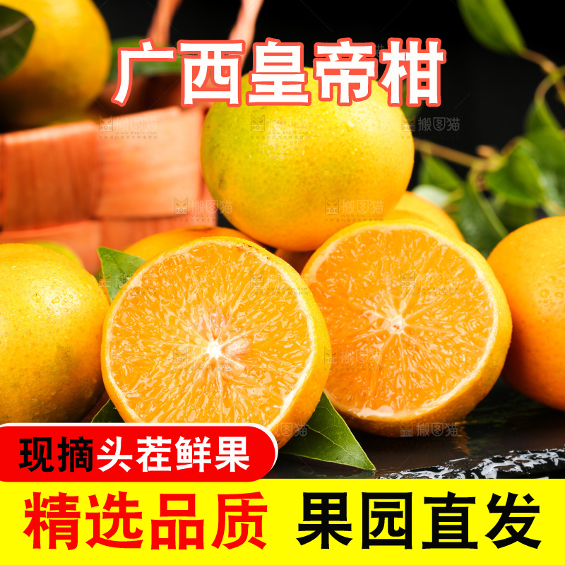 黑底上一堆新鲜的广西皇帝柑