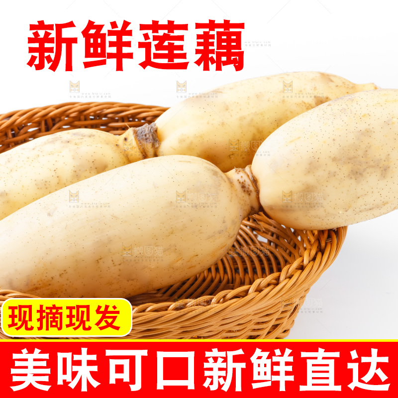 白底上放着莲藕
