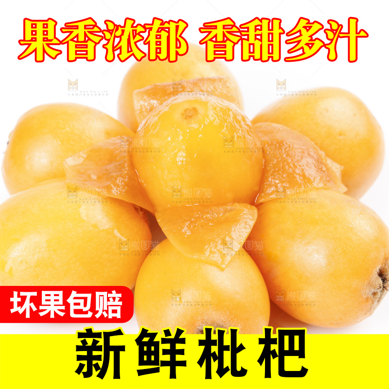 白底上放着攀枝花米易枇杷