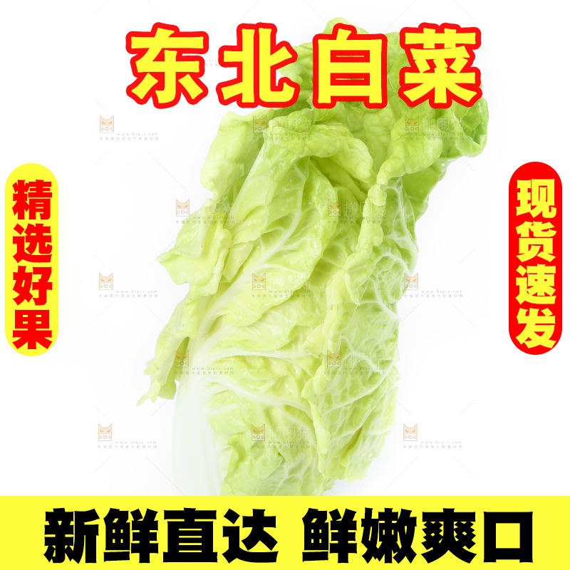 白底上放着大白菜