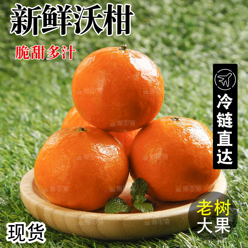 草地上放着贵妃柑