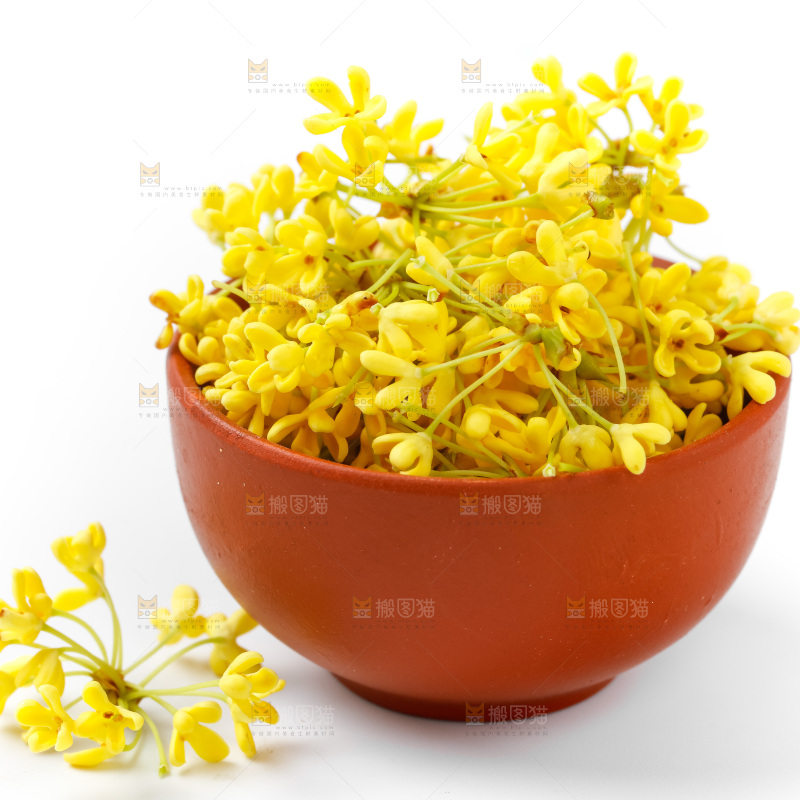 碗里的金桂花
