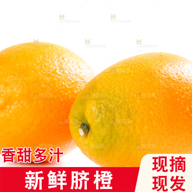 白底上的高山甜橙