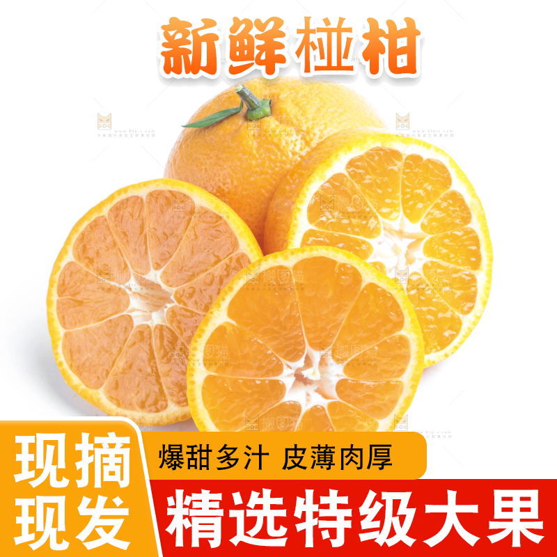 白底上放着柑橘