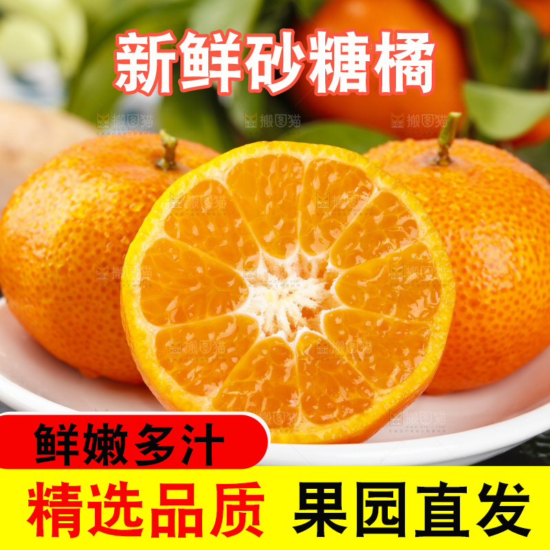 盘子里装着小蜜橘