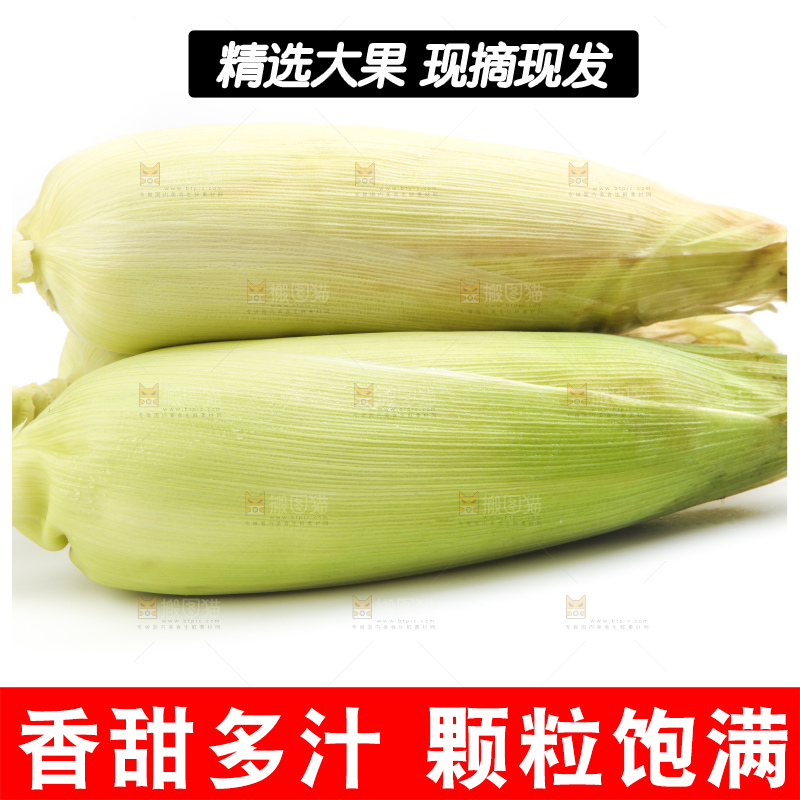 白底上放着黄玉米