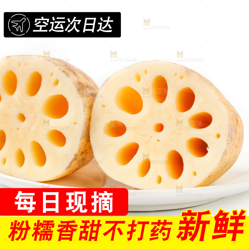 白底上的白莲藕
