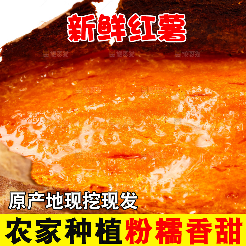 白底上的红薯